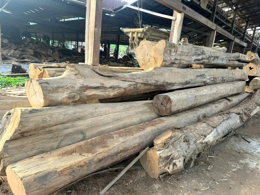 Sàn gỗ Teak tự nhiên Lào Vinh Nghệ An